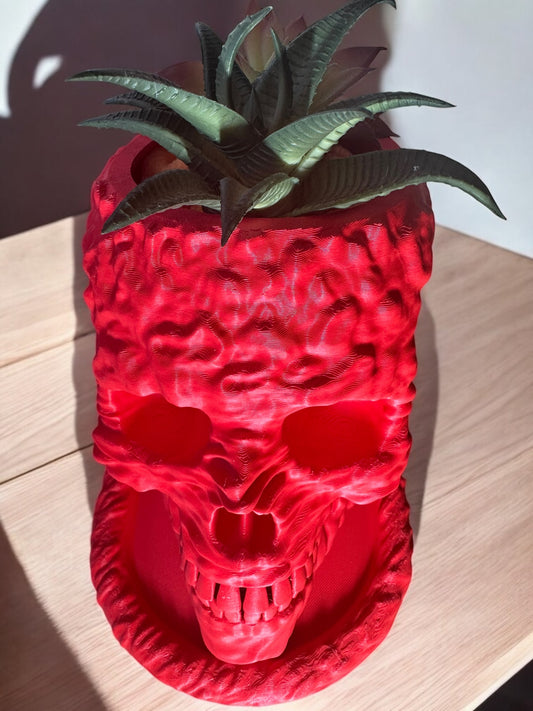 Skull Planter Pot