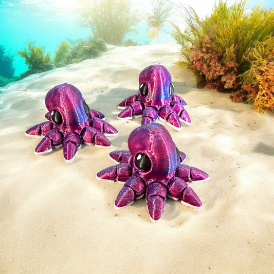 Ocotopus Hatchling