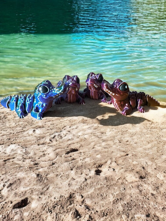 Crocodile Hatchling