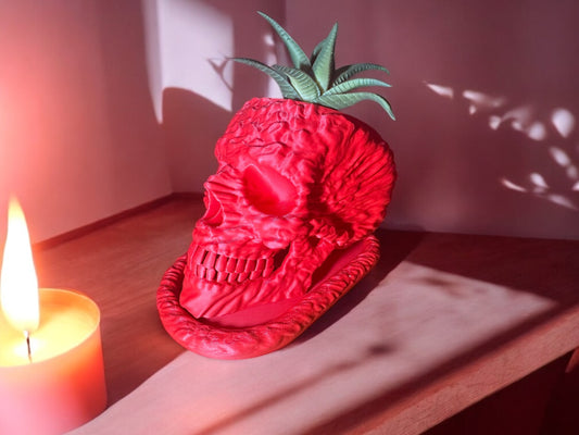 Skull Planter Pot