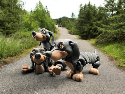 Flexy Dachshund