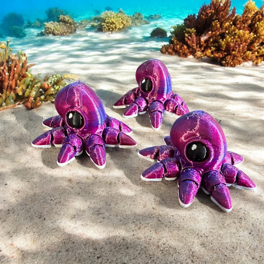 Ocotopus Hatchling