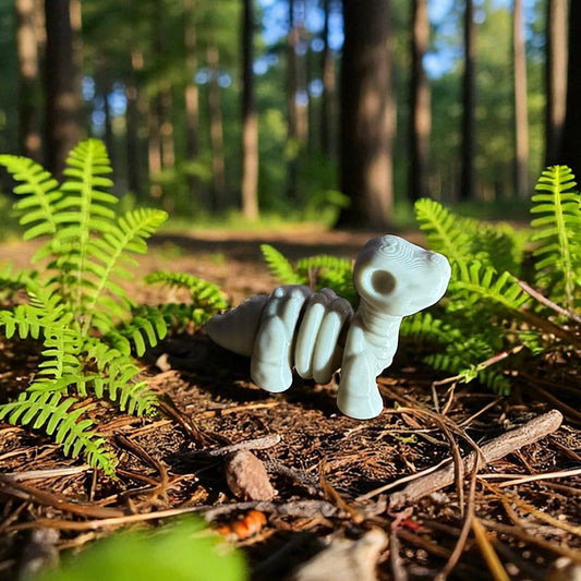 Baby Brontosaurus Skeleton