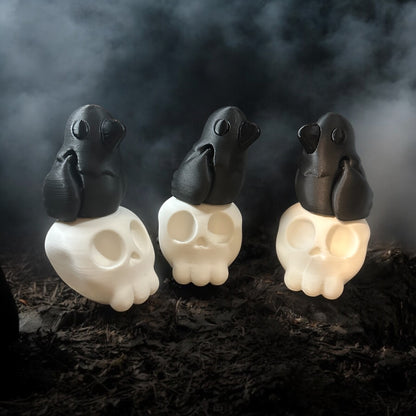 Skull