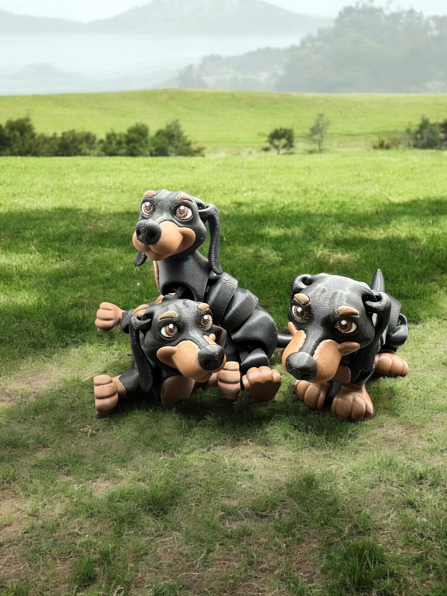 Flexy Dachshund