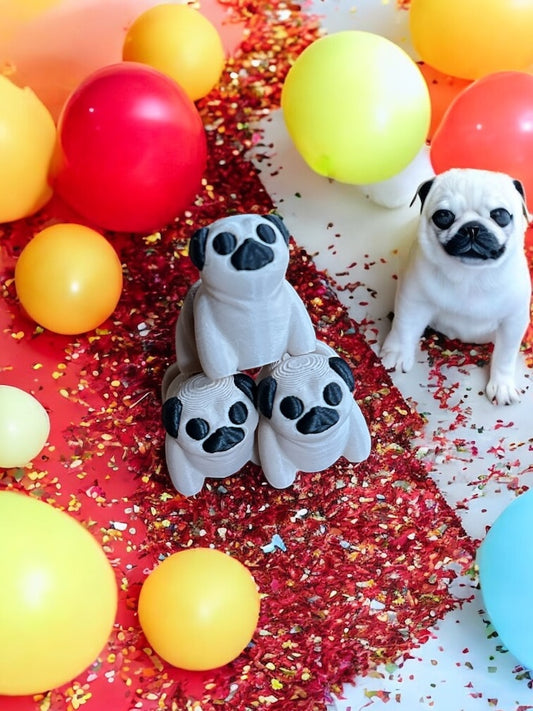 Baby Pug