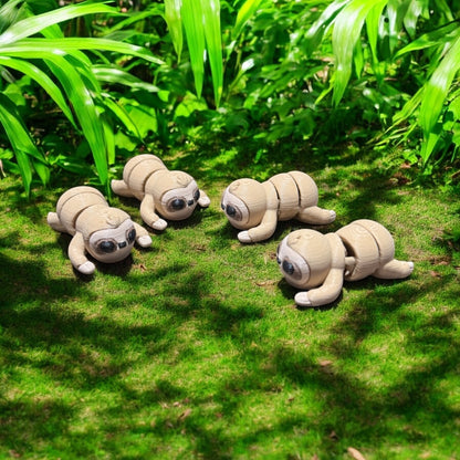 Baby Sloth