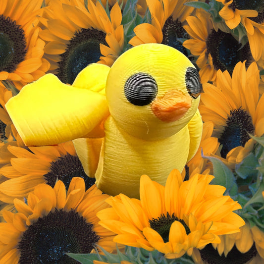 Baby Duck