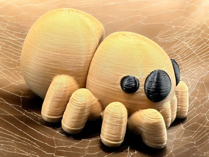 Baby Spider