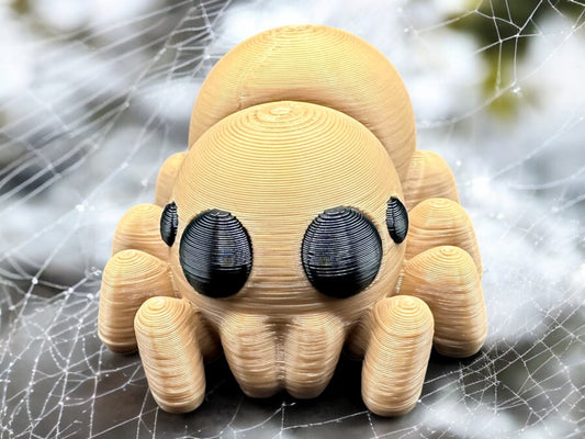 Baby Spider