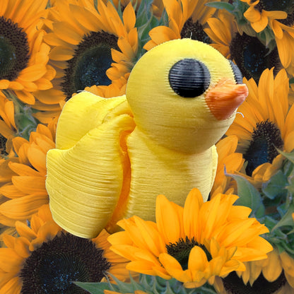 Baby Duck