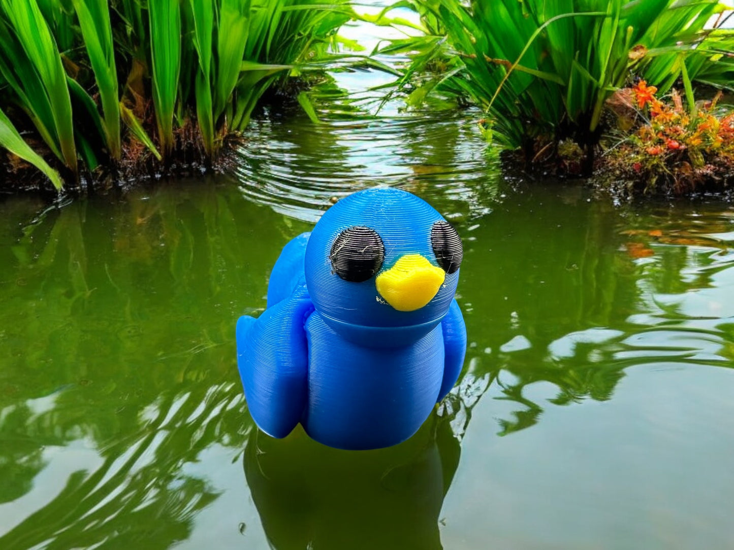 Baby Duck